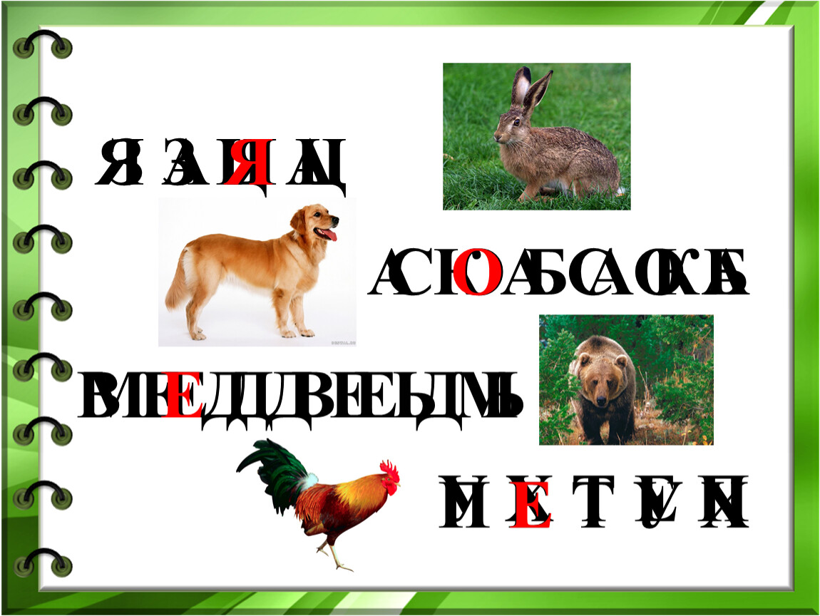 Лиса и заяц. Лиса или заяц. Волк лиса и заяц. Словарная работа лисица.