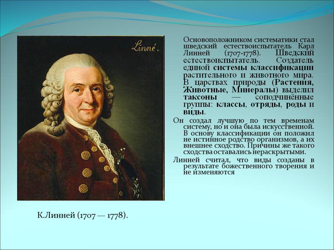 Систематика основоположник систематики. Карл Линней основатель систематики. Основоположник систематики. Карл Линней основы систематики. Родоначальник систематики.