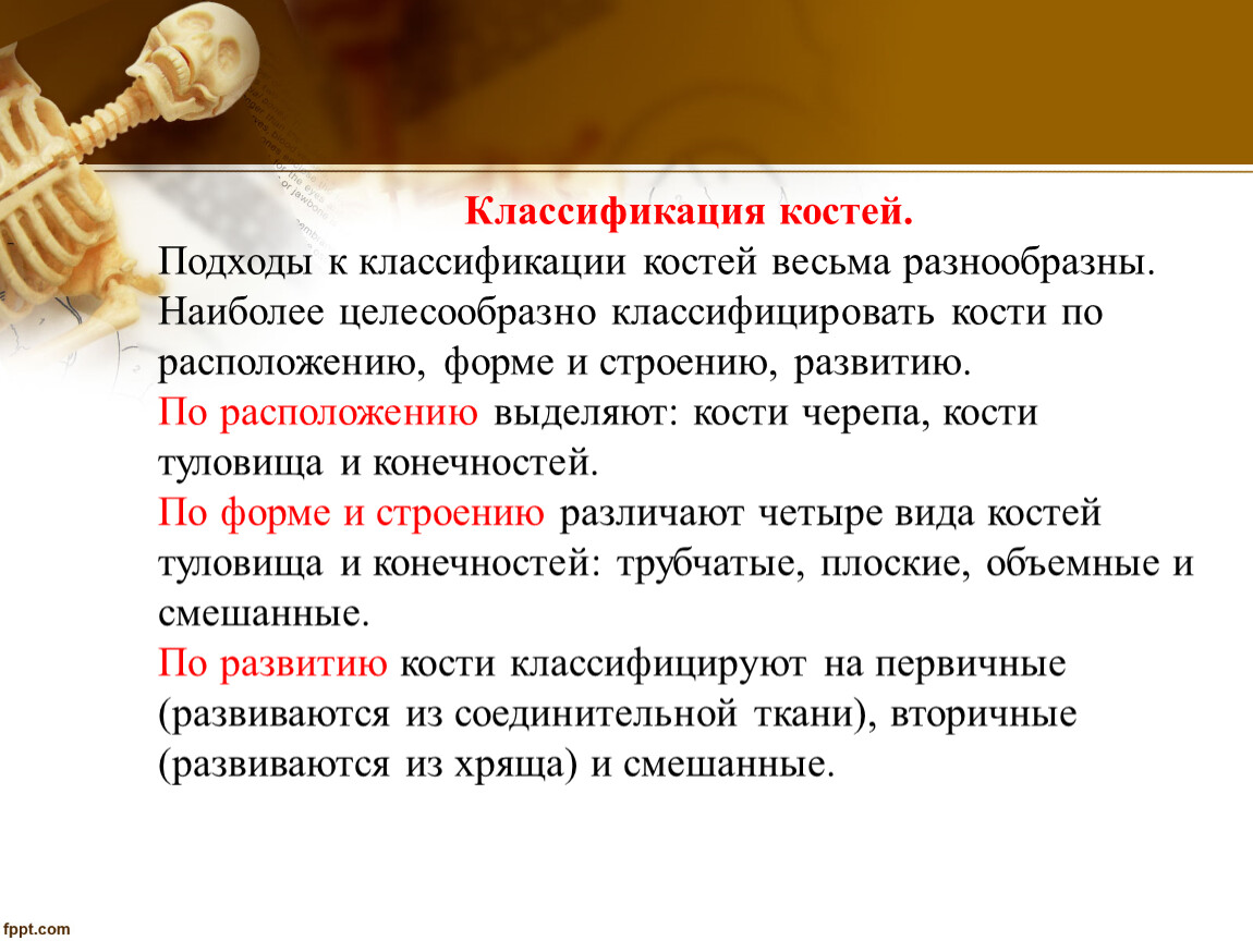 Наиболее целесообразное. По развитию кости классифицируют на. Классификация костей. Кости классификация костей. Классификация костей по расположению.