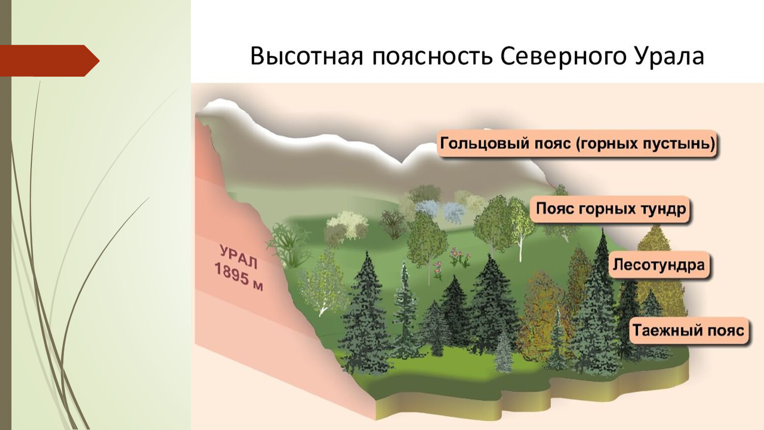 Природная поясность урала. Высотная поясность в горах Урала. Высокая пояность уральских гор. Высотное поястност Уральские горы. Высотная поясность уральских гор.