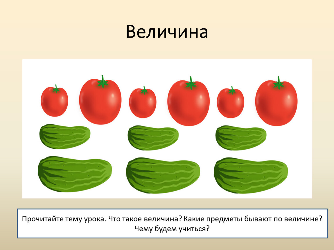 Величина математика 1 класс. Разговор о величине. Занятие по теме величина. Рисунки на тему величина. Разговор о величине перспектива 1 класс.