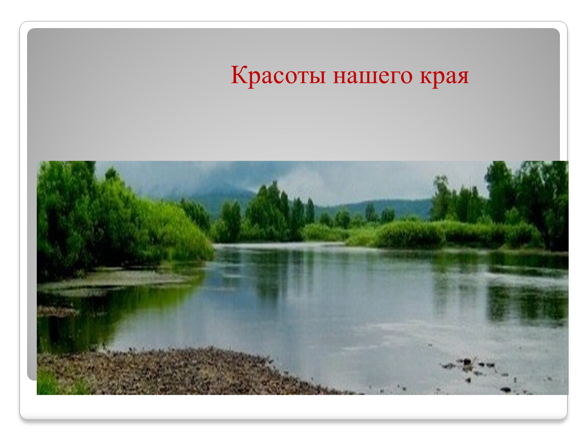 Наш край. Разнообразие природы Иркутской области. Природа родного края Иркутская область. Наш край Иркутская область.