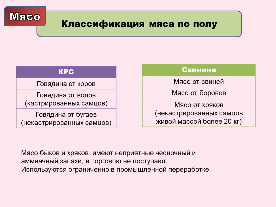 Классификация мяса схема