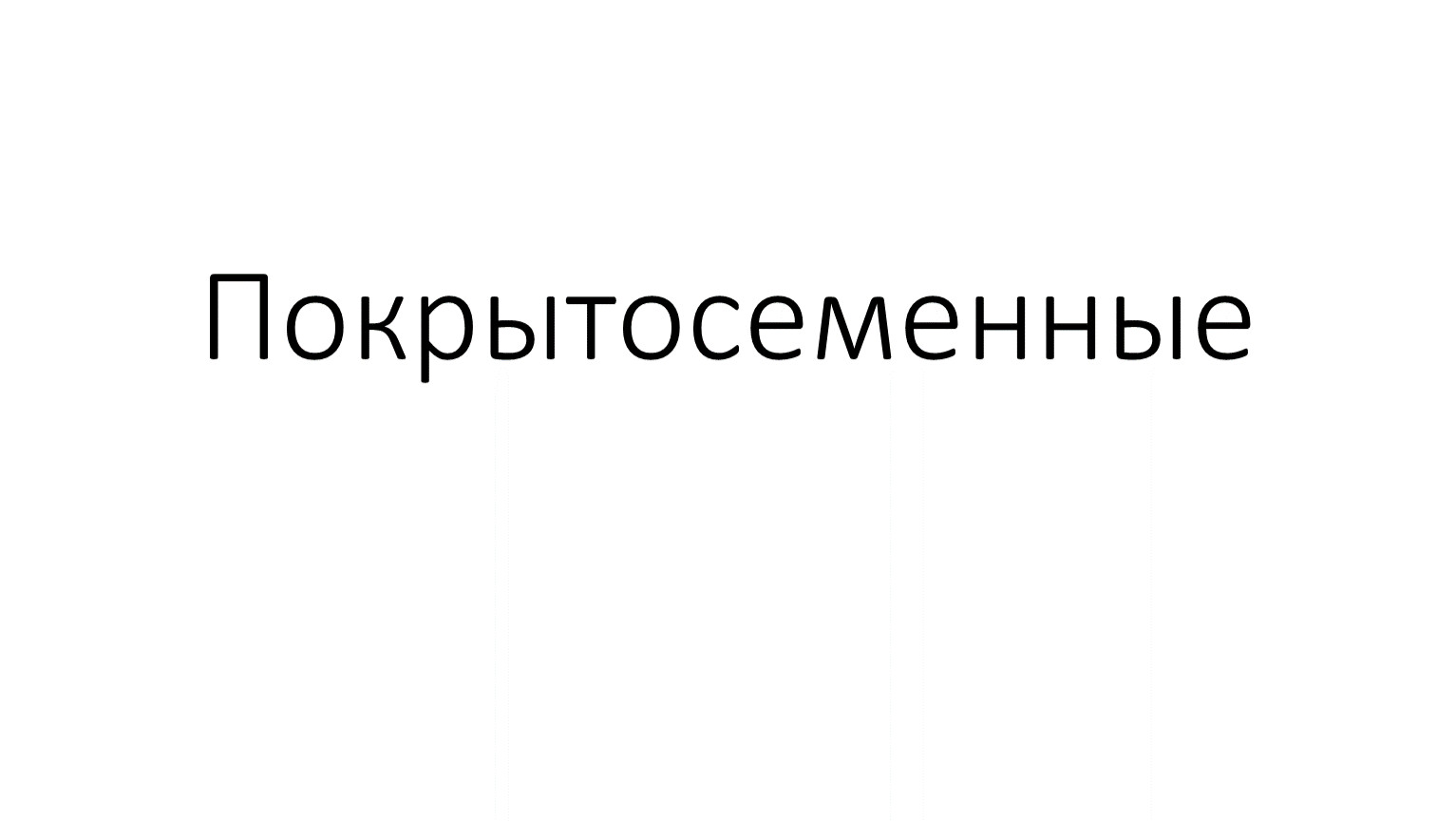 Покрытосеменные