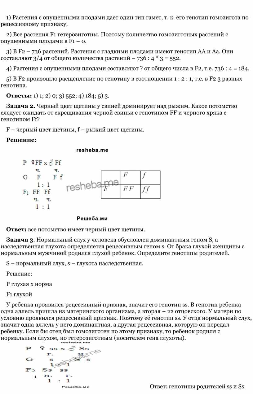 Растения с опушенными плодами дает один тип гамет, т