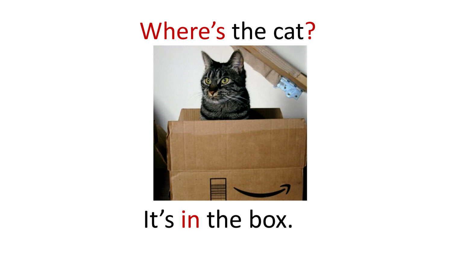 The Cat is in the Box. The Cat is by the Box. Wheres Kitty the Cat перевод. Its my Cat.