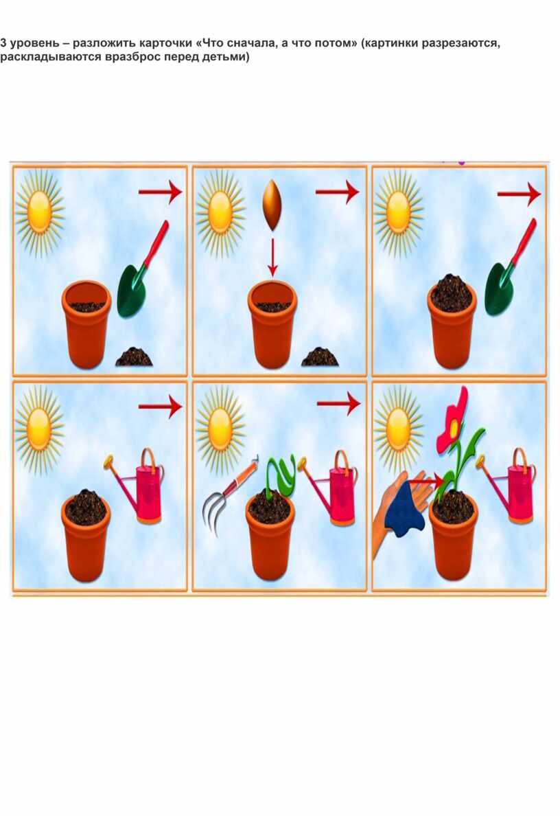 Картинки что сначала что потом для детей 5 6 лет