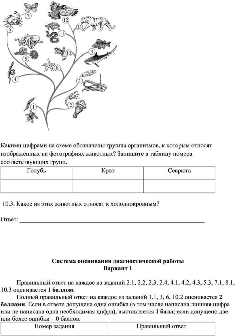 Какими цифрами на схеме обозначены группы организмов