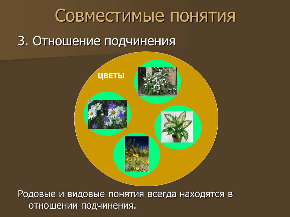 Родовые и видовые понятия. Видовое понятие для родового понятия цветок это. Родовые и видовые. Родовое отношение понятий. Совместимые понятия.