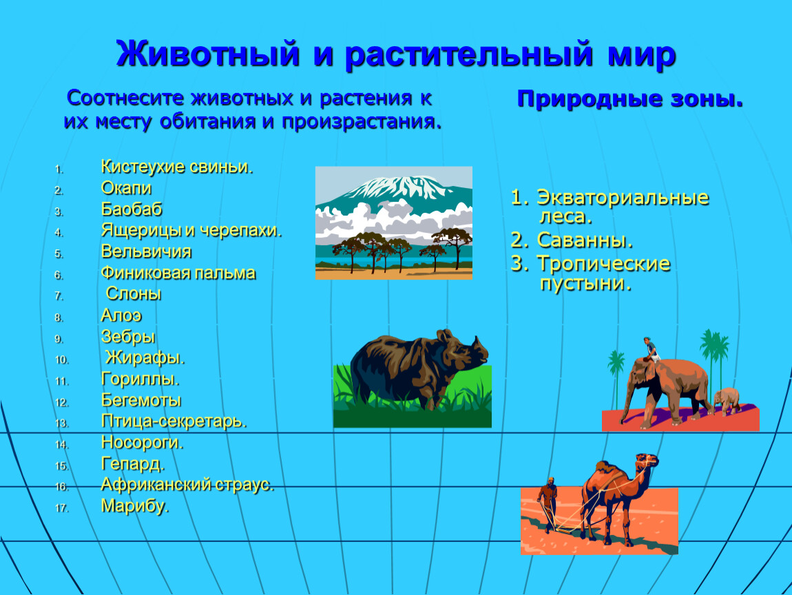 Станция животная. Соотнести животное с природной зоной. Соотнести животных Африки и природные зоны. Соотнести животных и природную зону задание. Природная место обитания животных.