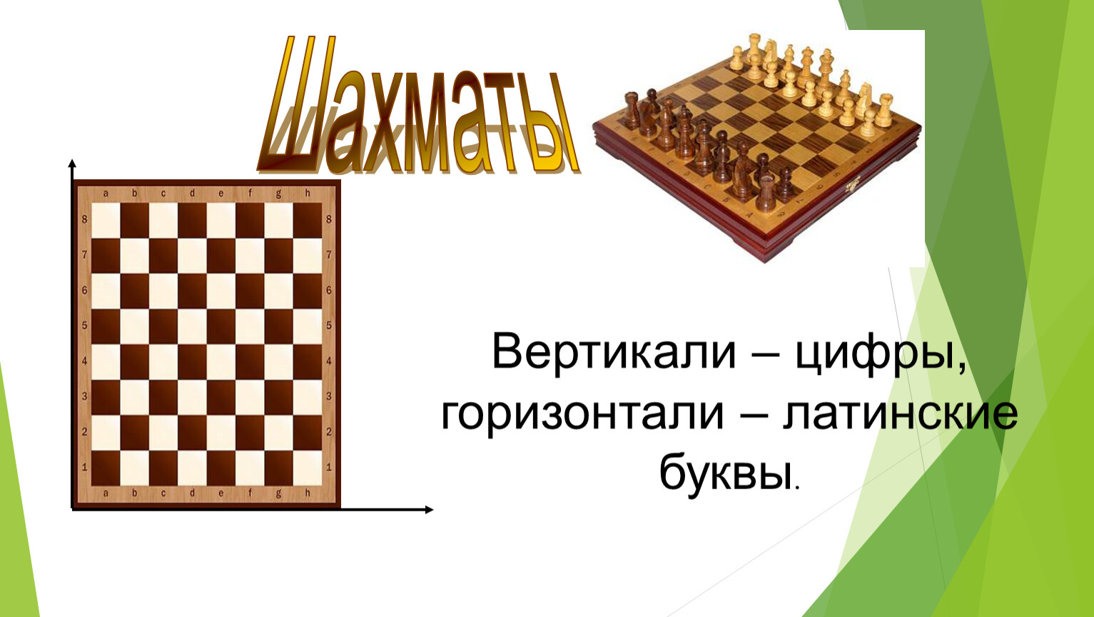 Что такое горизонталь. Шахматные горизонтали и вертикали. Шахматная Вертикаль. Горизонталь и Вертикаль в шахматах. Горизонтали на шахматной доске.