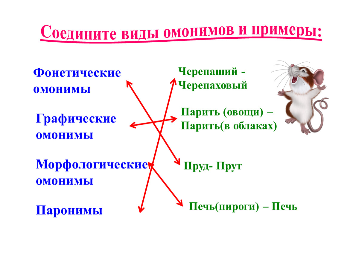 Соедини словосочетания. Омонимы. Омонимы примеры. Виды омонимов с примерами. Виды омонимов с примерами таблица.