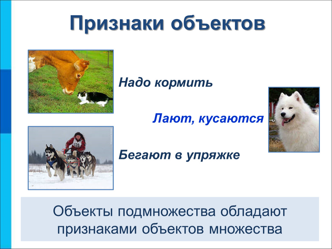 Классы объектов презентация. Признаки объекта. Признаки объекта Информатика. Признаки объекта пример. Признаки объекта Информатика 6 класс.