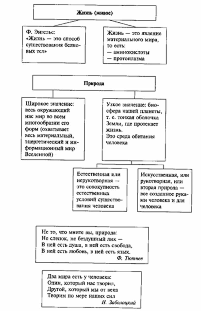 План системное строение общества егэ обществознание