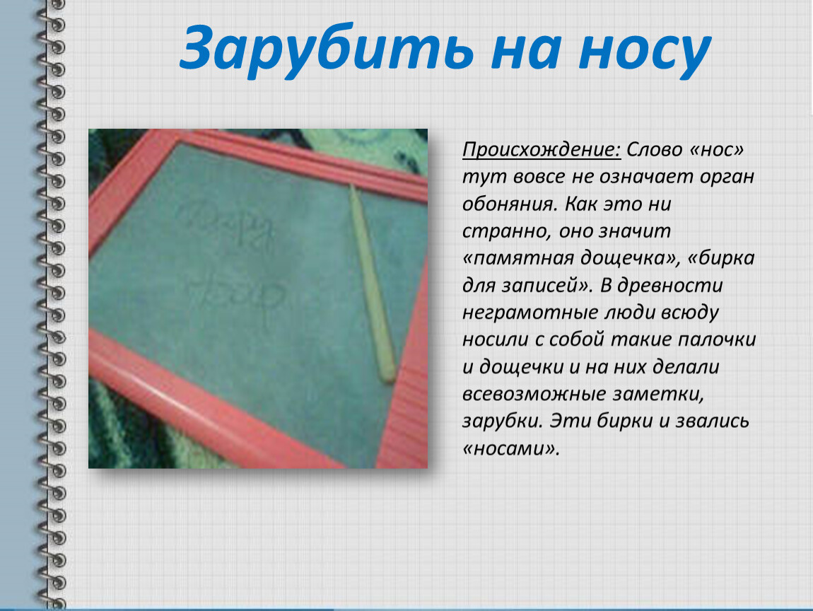 Зарубить на носу. Зарубить себе на носу значение. Происхождение фразеологизма зарубить на носу. Зарубить на носу происхождение. Зарубить на носу значение.