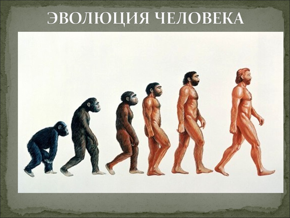 Человек обезьяна название. Эволюция человека хомо сапиенс. Эволюция человека до хомо сапиенс. Ступени развития человека хомо сапиенс. Этапы эволюции хомо сапиенс.