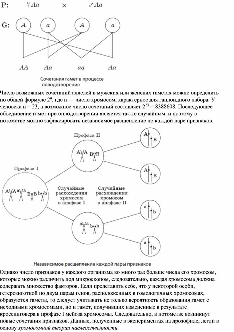 Генетика в числах