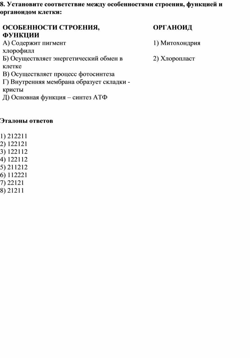 Установите соответствие между особенностями строения, функцией и органоидом клетки: