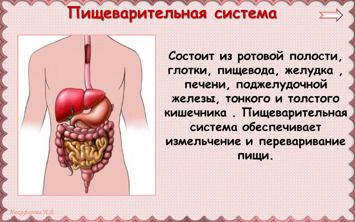 польза манга и вред для организма человека фото 111