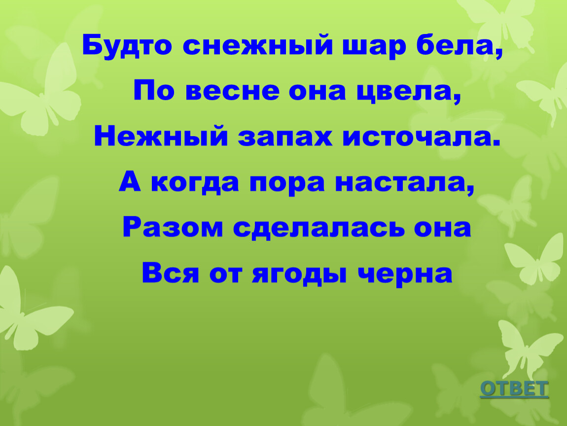 Настала пора. Будто снежный шар бела по весне она цвела нежный запах. Будто снежный шар бела по весне. Отгадка будто снежный шар бела по весне она цвела. Будто снежный шар бела отгадка.