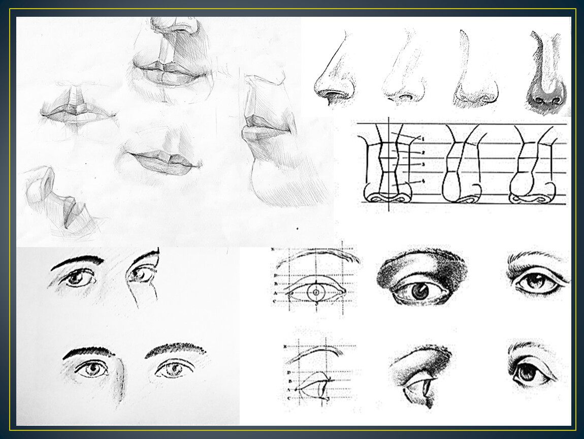 Основные пропорции головы человека 6 класс изо. З класс изо схема лица под наклоном 3,7 глаз 5,7 нос. Строение лица человека 3 класс изо показать. Урок изо в школе 6 класс урок 17 конструкция головы человека. Урок для развития глаза мира и чувства пропорции 6 класс изо.