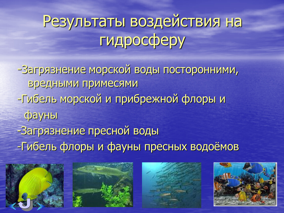 Охрана гидросферы почвы атмосферы флоры и фауны от химического загрязнения презентация