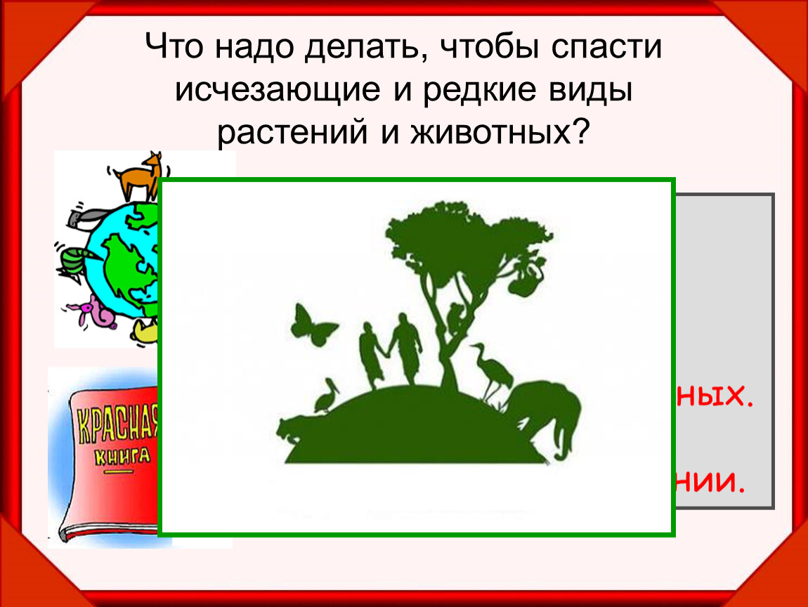 Красная книга 2 класс окружающий мир презентация. Что нужно делать чтобы спасти исчезающие виды животных и растений. Что нужно делать чтобы спасти редкие виды растений и животных. Что нужно сделать чтобы спасти исчезающие виды растений и животных. Что надо делать чтобы спасти исчезающие и редкие виды животных.