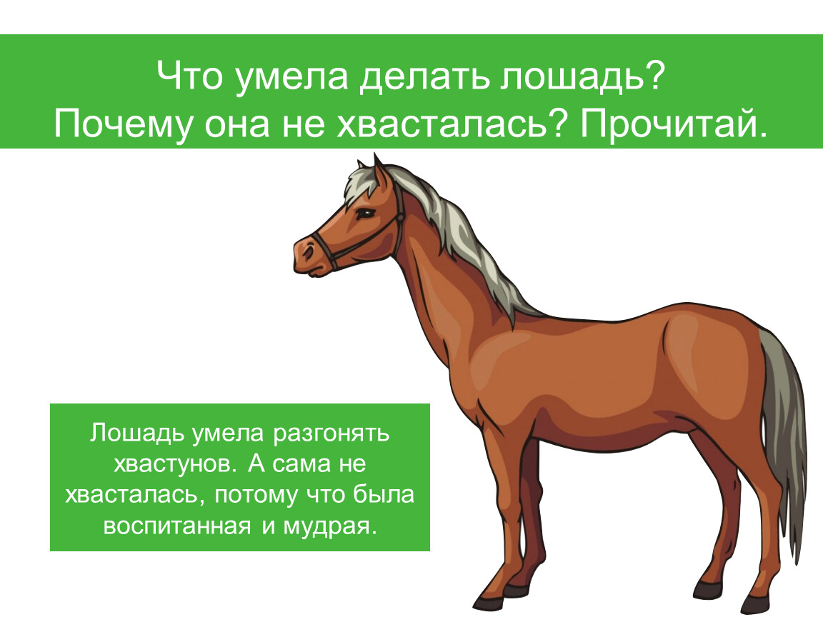 Что делает лошадь. Почему лошадь. Что не умеет делать лошадь. Что умеют делать лошади. Потому лошадь.