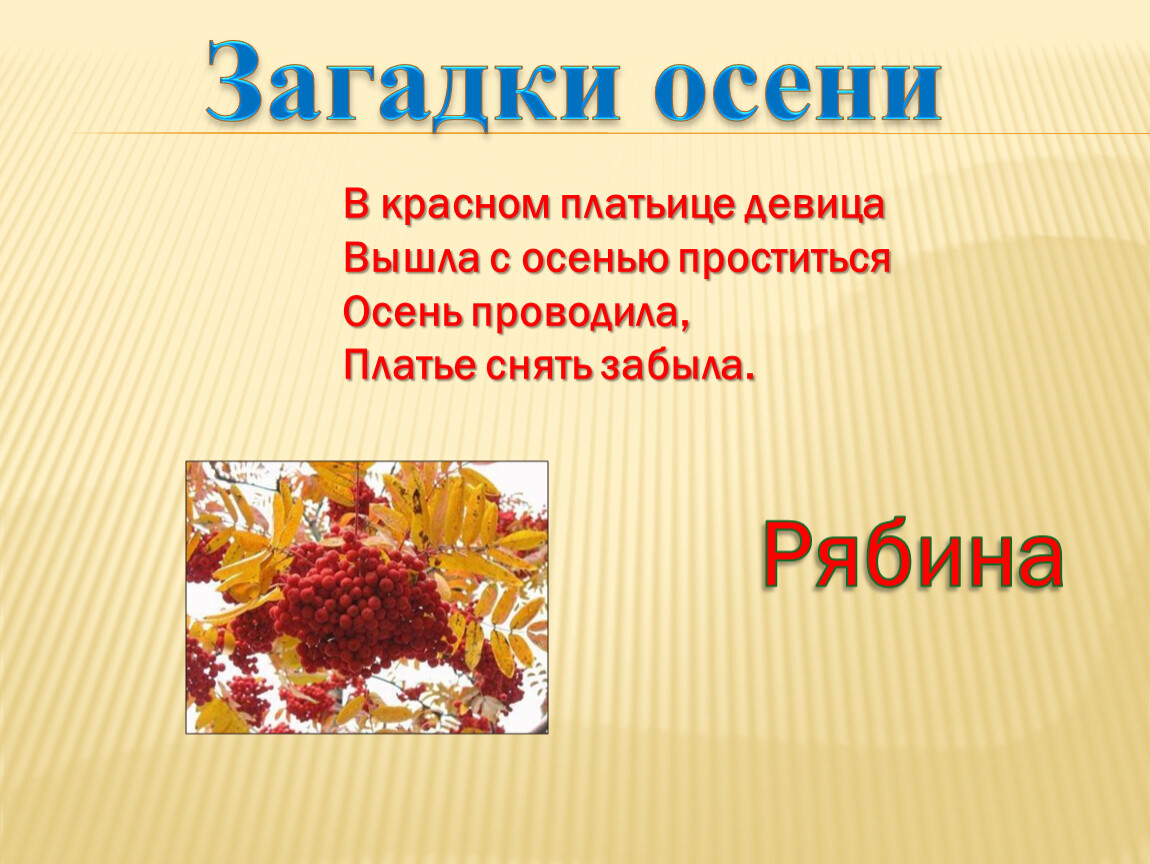 Ответ осени. Загадки про осень. Тайны осени. Осенние загадки на украинском. Осенние загадки презентация картинки.