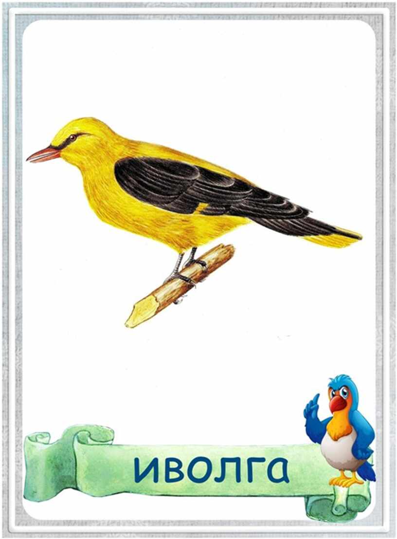 Перелетные птицы карточки для детского сада