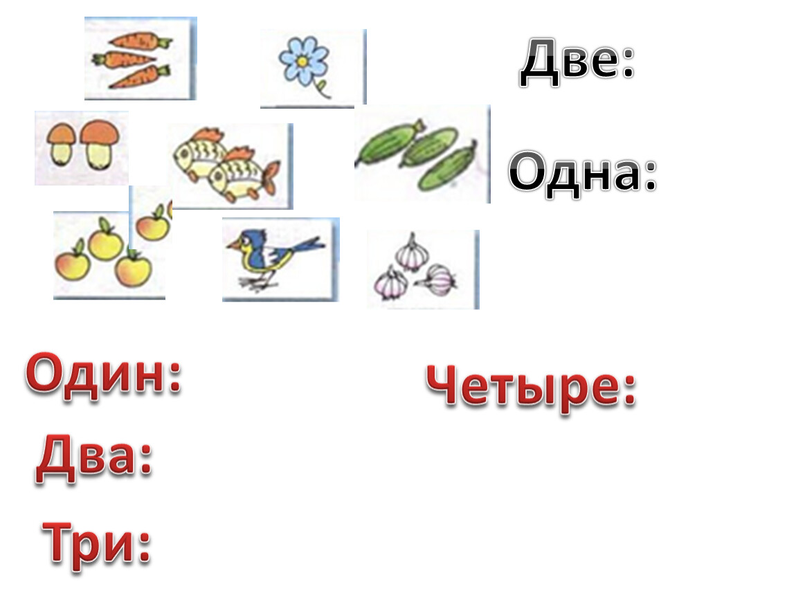 Презентация на тему длиннее короче одинаковые по длине 1 класс школа россии