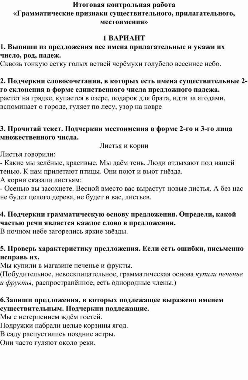 Итоговая контрольная работа «Грамматические признаки существительного,  прилагательного, местоимения»