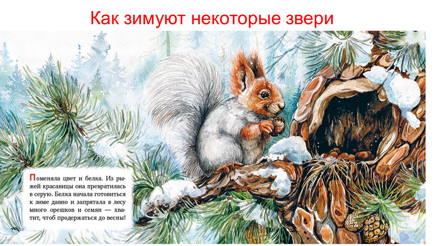 Книги для детей животные зимой