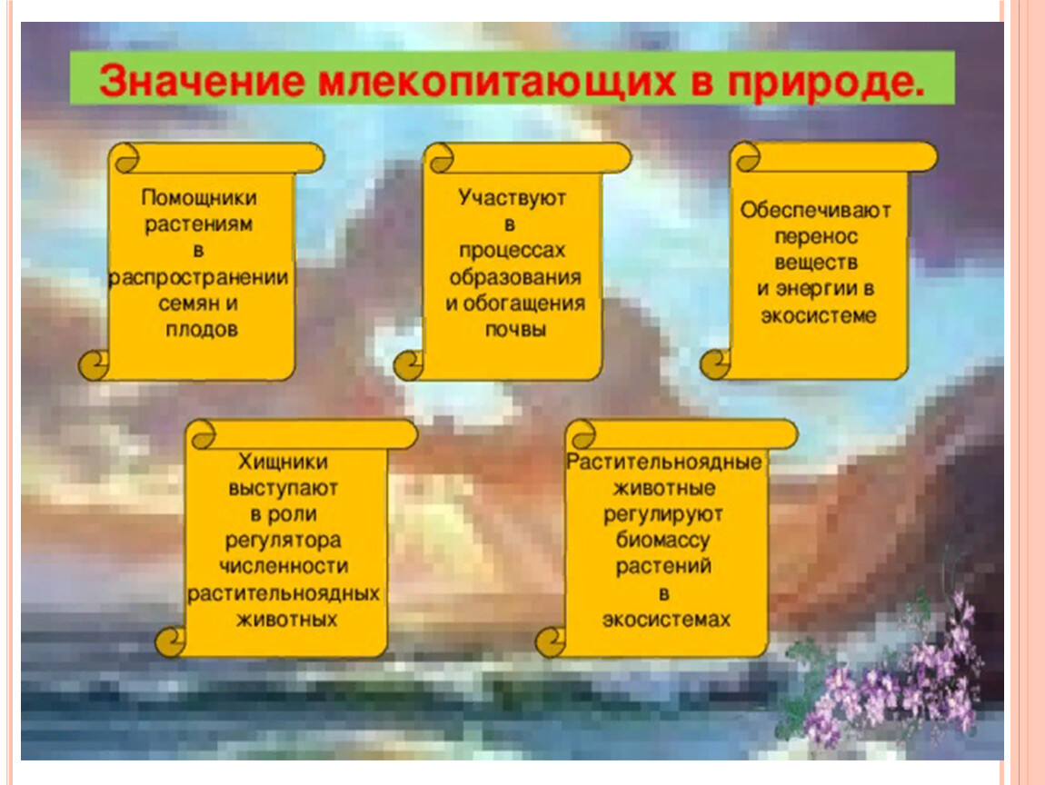 Распространение в природе млекопитающих. Значение млекопитающих. Значение млекопитающих в природе. Значение млекопитаюв природе. Млекопитающие в жизни человека и в природе.