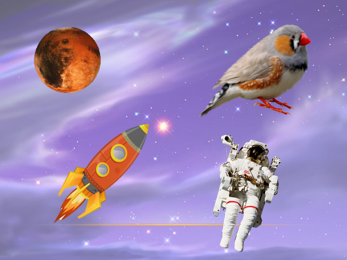 Детские игры про космос