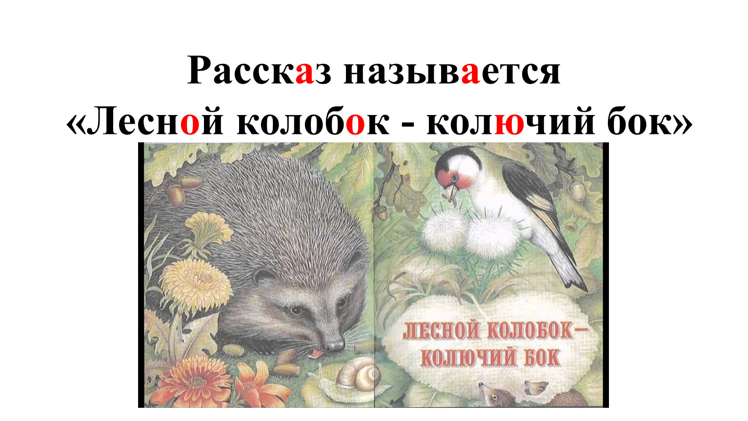 Какое животное бианки называл лесным колобком. Лесной Колобок колючий бок картинки. Лесной Колобок - колючий бок. Лесной Колобок колючий бок Бианки. Рассказу Лесной Колобок колючий бок.