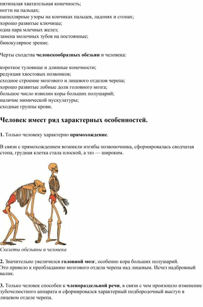 Доклад по теме Доказательства происхождения человека от животных 