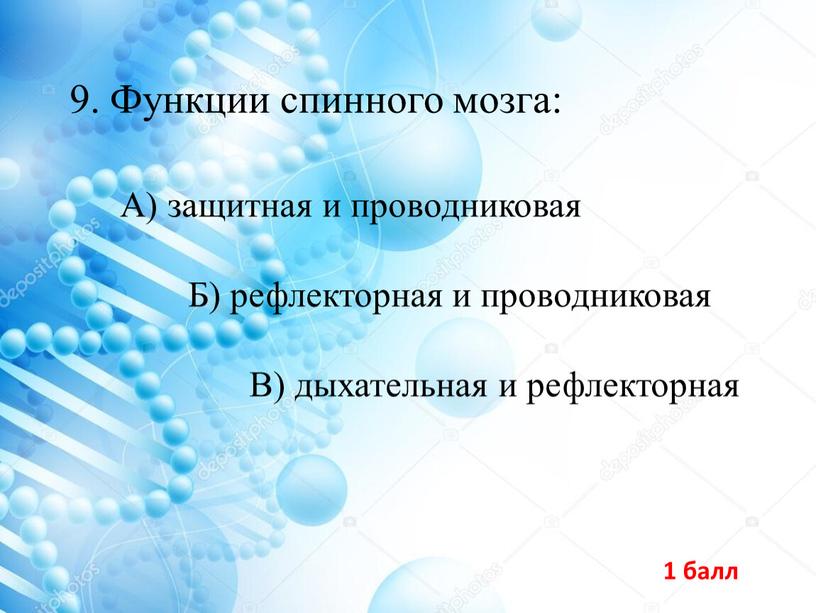 Функции спинного мозга: В) дыхательная и рефлекторная