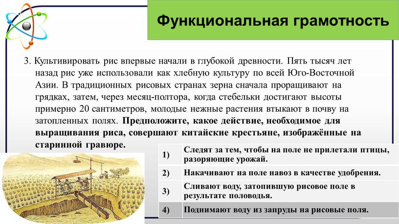 Культивировать рис впервые начали в глубокой древности