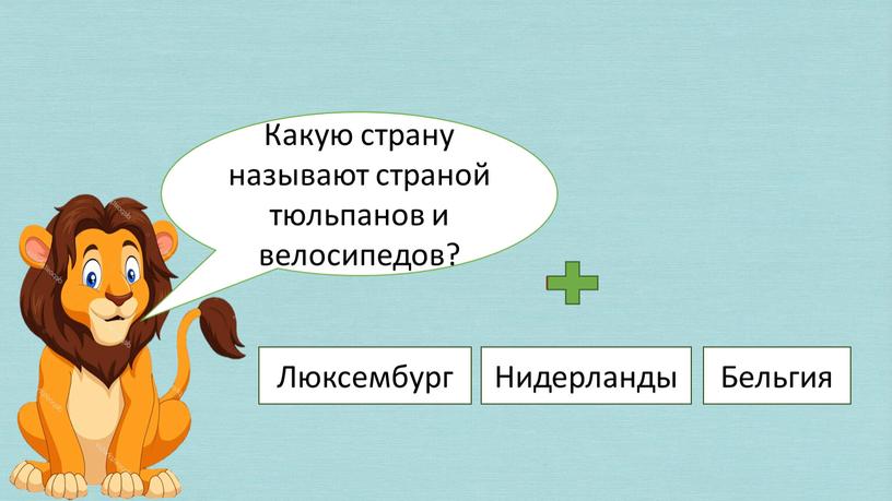 Какую страну называют страной тюльпанов и велосипедов?