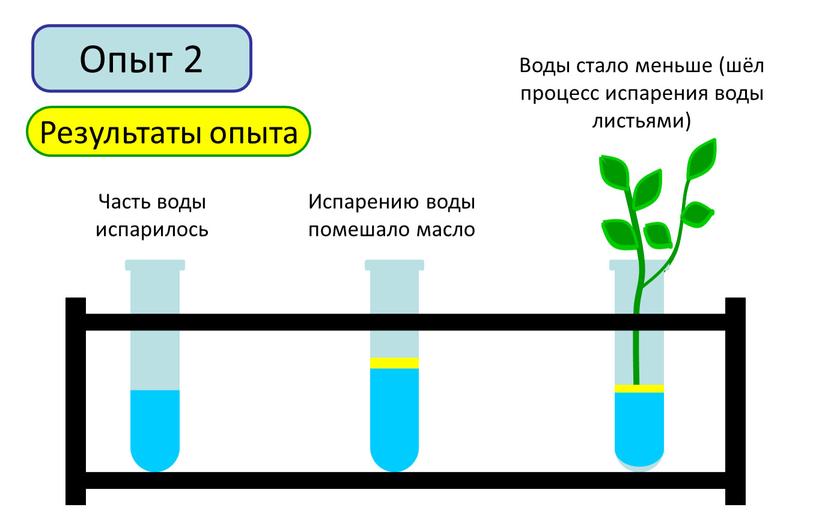 Опыт 2 Результаты опыта Часть воды испарилось