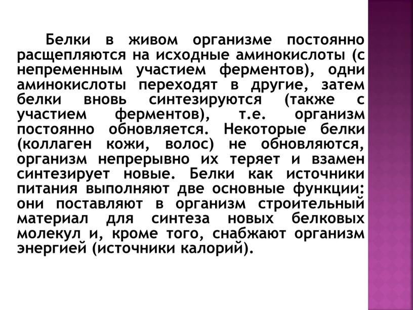 Белки в живом организме постоянно расщепляются на исходные аминокислоты (с непременным участием ферментов), одни аминокислоты переходят в другие, затем белки вновь синтезируются (также с участием…