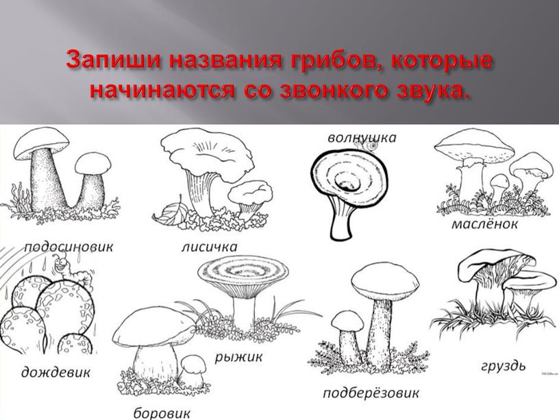 Запиши названия грибов, которые начинаются со звонкого звука