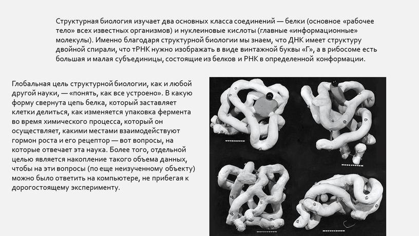 Структурная биология изучает два основных класса соединений — белки (основное «рабочее тело» всех известных организмов) и нуклеиновые кислоты (главные «информационные» молекулы)