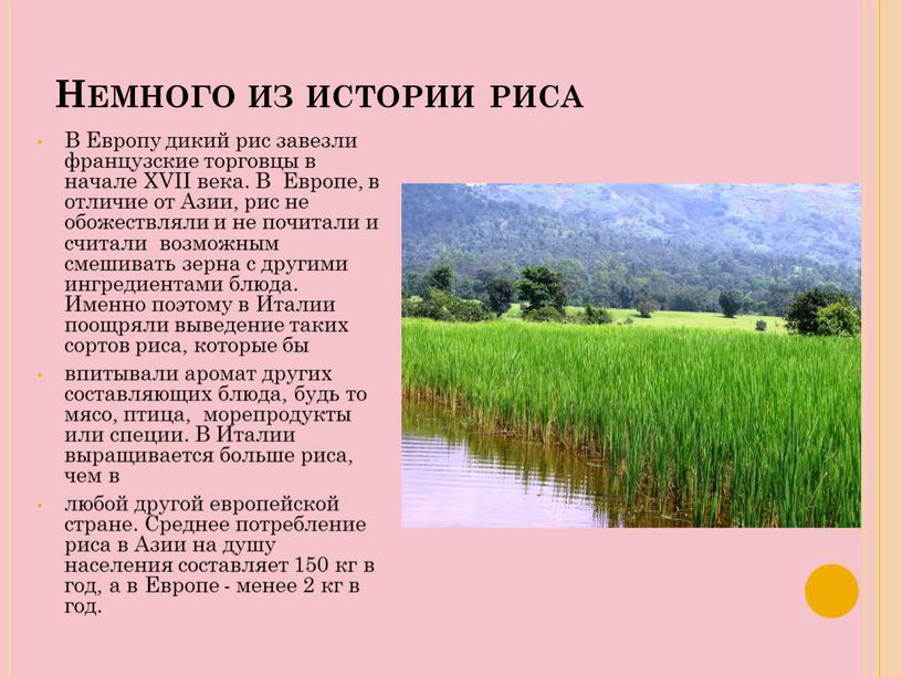 Немного из истории риса В Европу дикий рис завезли французские торговцы в начале