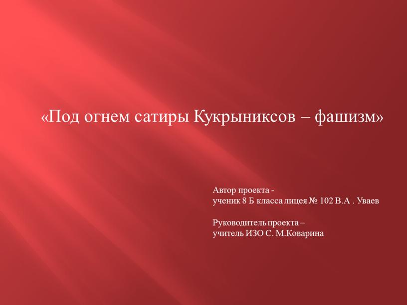 Автор проекта - ученик 8 Б класса лицея № 102