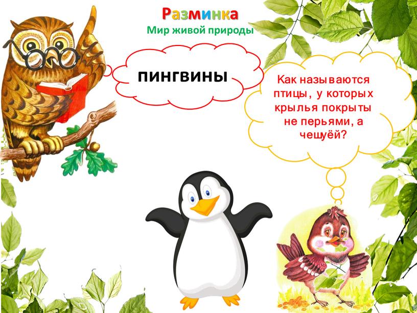 Разминка Мир живой природы Как называются птицы, у которых крылья покрыты не перьями, а чешуёй? пингвины