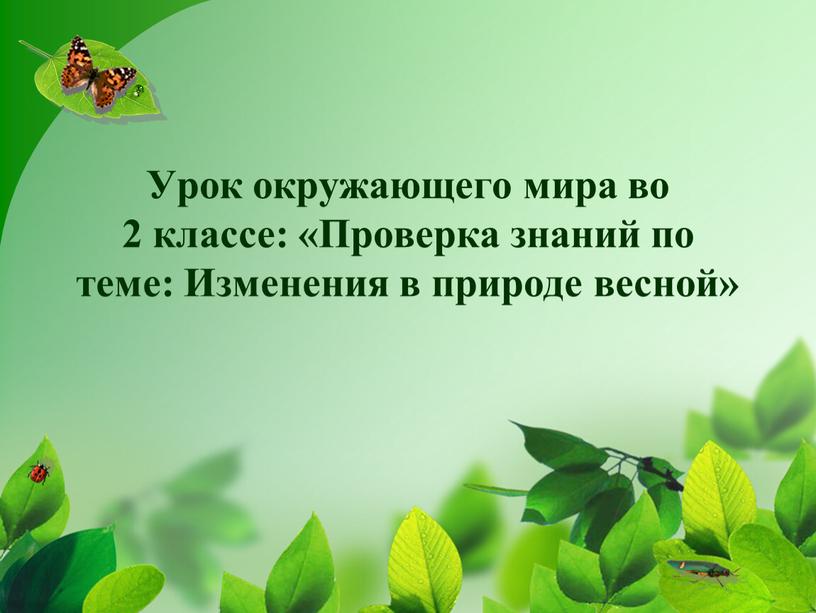 Урок окружающего мира во 2 классе: «Проверка знаний по теме: