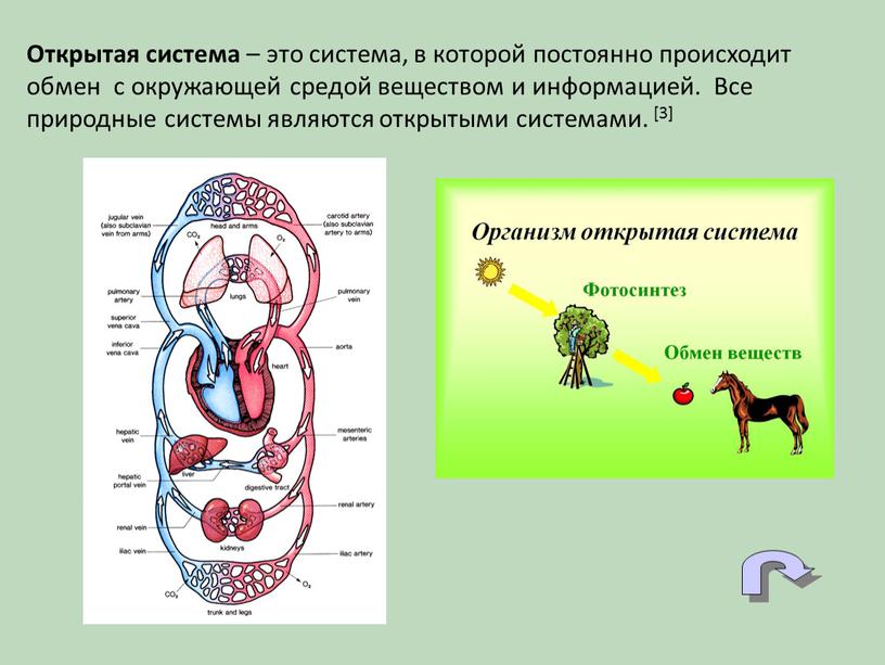 Открытая система – это система, в которой постоянно происходит обмен с окружающей средой веществом и информацией