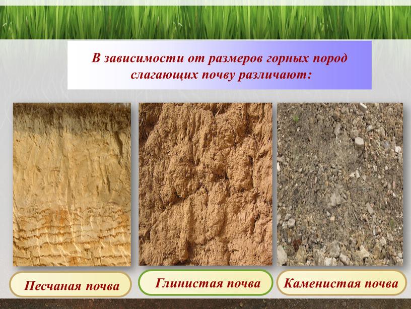 В зависимости от размеров горных пород слагающих почву различают: